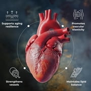 PureHealth Research Every Beat - Heart Health with Grape Seed Extract