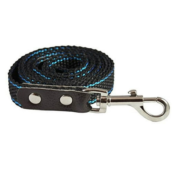 Heavy Duty Nylon Dog Leash with Leather Enforced Snap for Large Breeds (6 Ft)