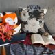 thumbnail image 1 of Fundas de almohada decorativas grises de 35 x 35 cm (14 x 14 pulgadas), cojines de algodón y lino con estampado de cuentas para sofá, estilo moderno con estampado floral - Rada, 1 of 8