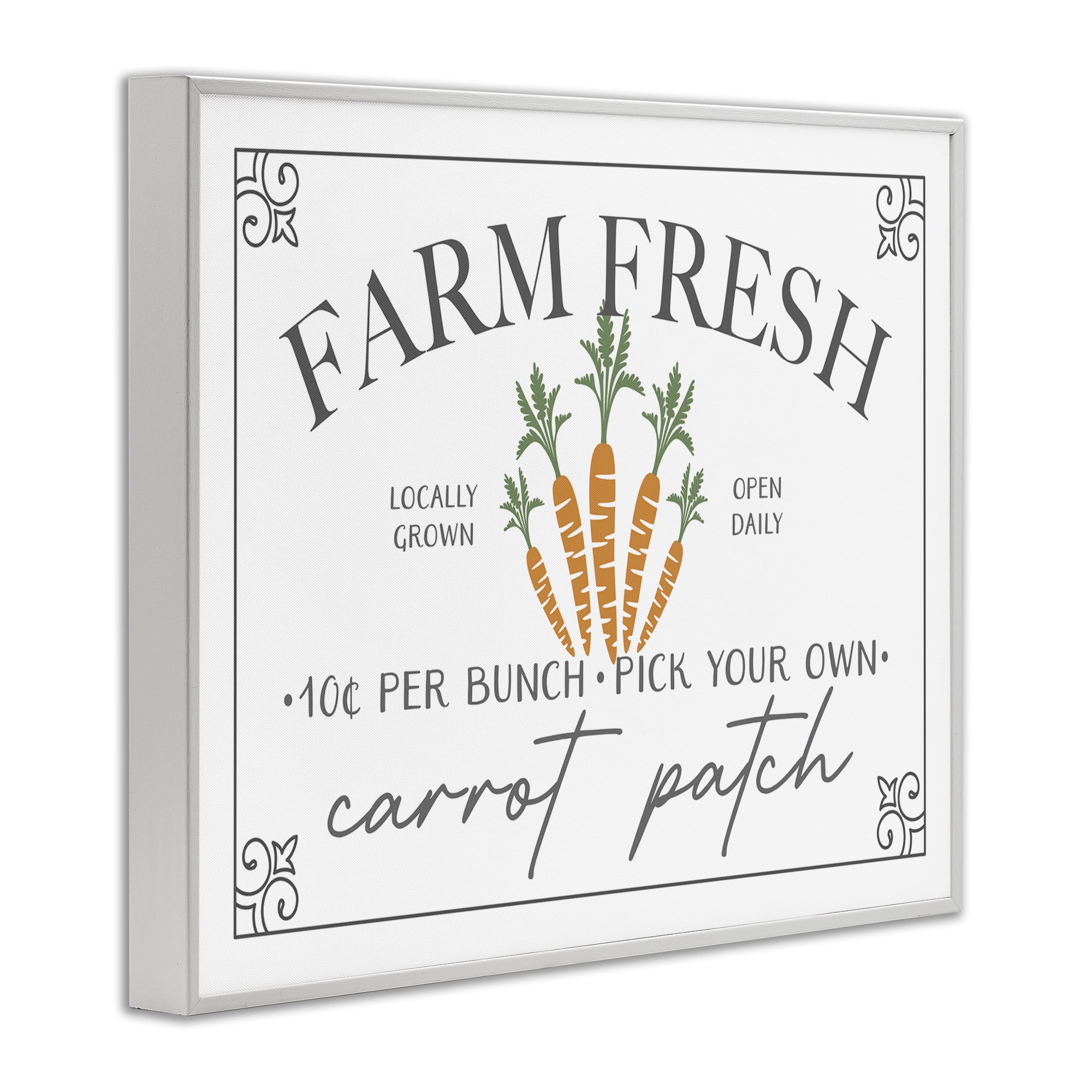 Farm Fresh Carrot Patch Seasonal Springtime Vegetables White Framed Giclee Art, 14 x 11, By JJ Design House LLC