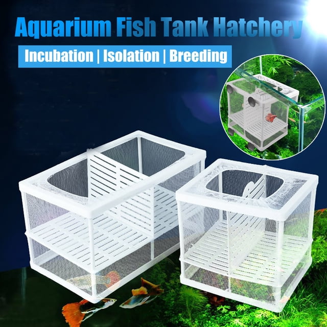 Yhsdtq,Fish Fry Rearing Container, Aquarium Larval Retainer, Stainless Steel Mesh, Separate Breeding Net, Safe Non-Toxic, Freshwater Fry Tank, Fish Fry Net, for Aquarium Tanks, Non-Toxic Material