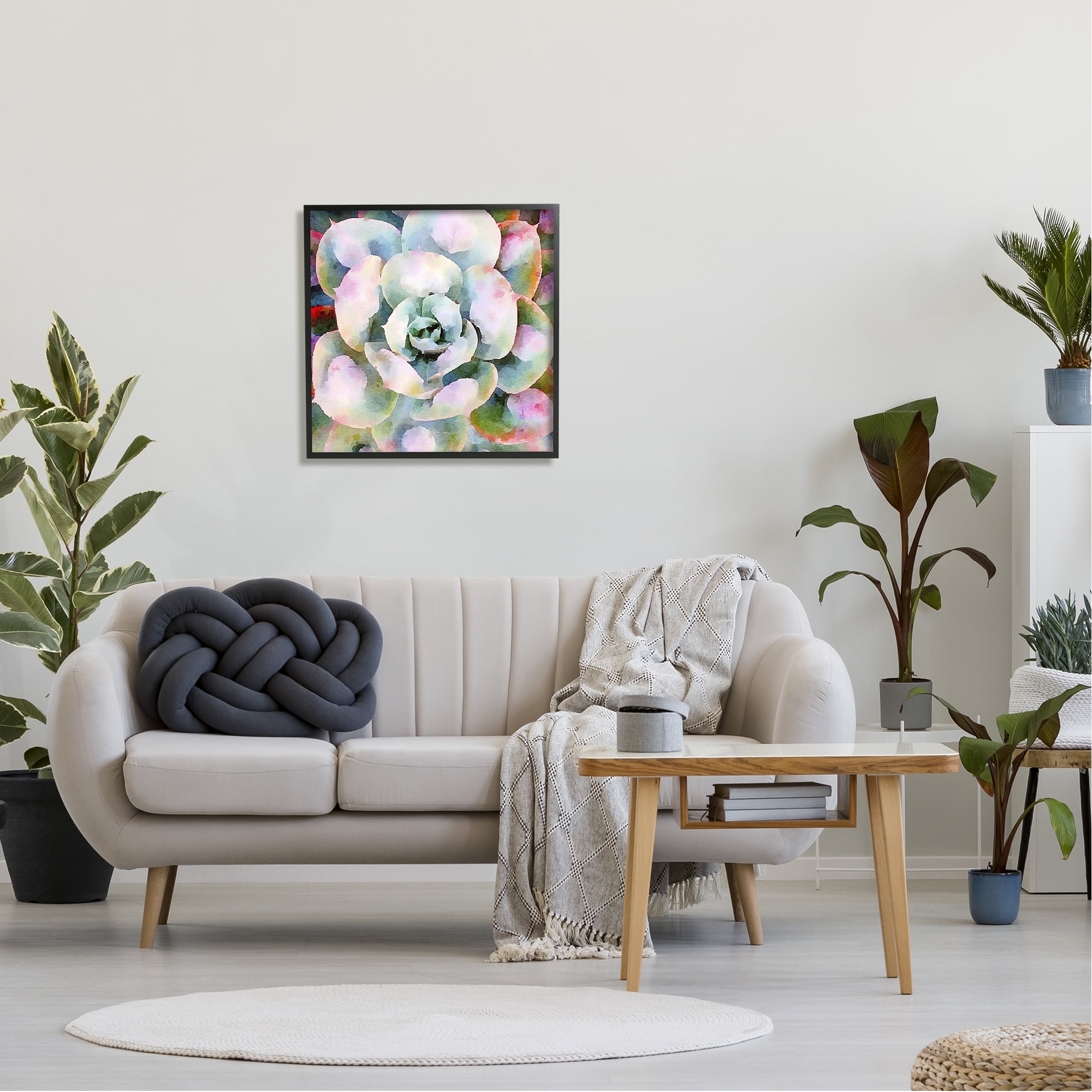 Stupell Industries Succulent Plant Bold Hues Botanical & Floral Painting Black Framed Art Print Wall Art