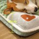 thumbnail image 5 of Cama de Lujo para Perros Pequeños y Medianos: Tapete Cálido para el Invierno, Extraíble y Lavable, Sofá Cama Ideal para Gatos y Perros S, 5 of 9