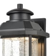 thumbnail image 5 of Elk Home 9-Inch Wide Outdoor Irvine Wall Sconce, Matte Black, 5 of 5