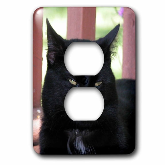 3dRose, Black Cat, 2 plug outlet cover
