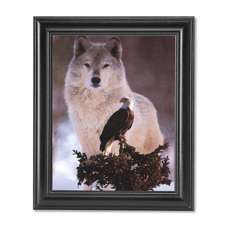 - American Bald Eagle Bird with Gray Wolf Photo Wall Picture Black Framed