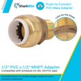 thumbnail image 2 of MALECONN 1/2""IPSXMNPT SB (Paquete de 1), 2 of 5