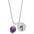 thumbnail image 1 of Delight Jewelry Silvertone Purple Grapes Silvertone Script Initial Disc - F - Charm Necklace, 20"+3", 1 of 4