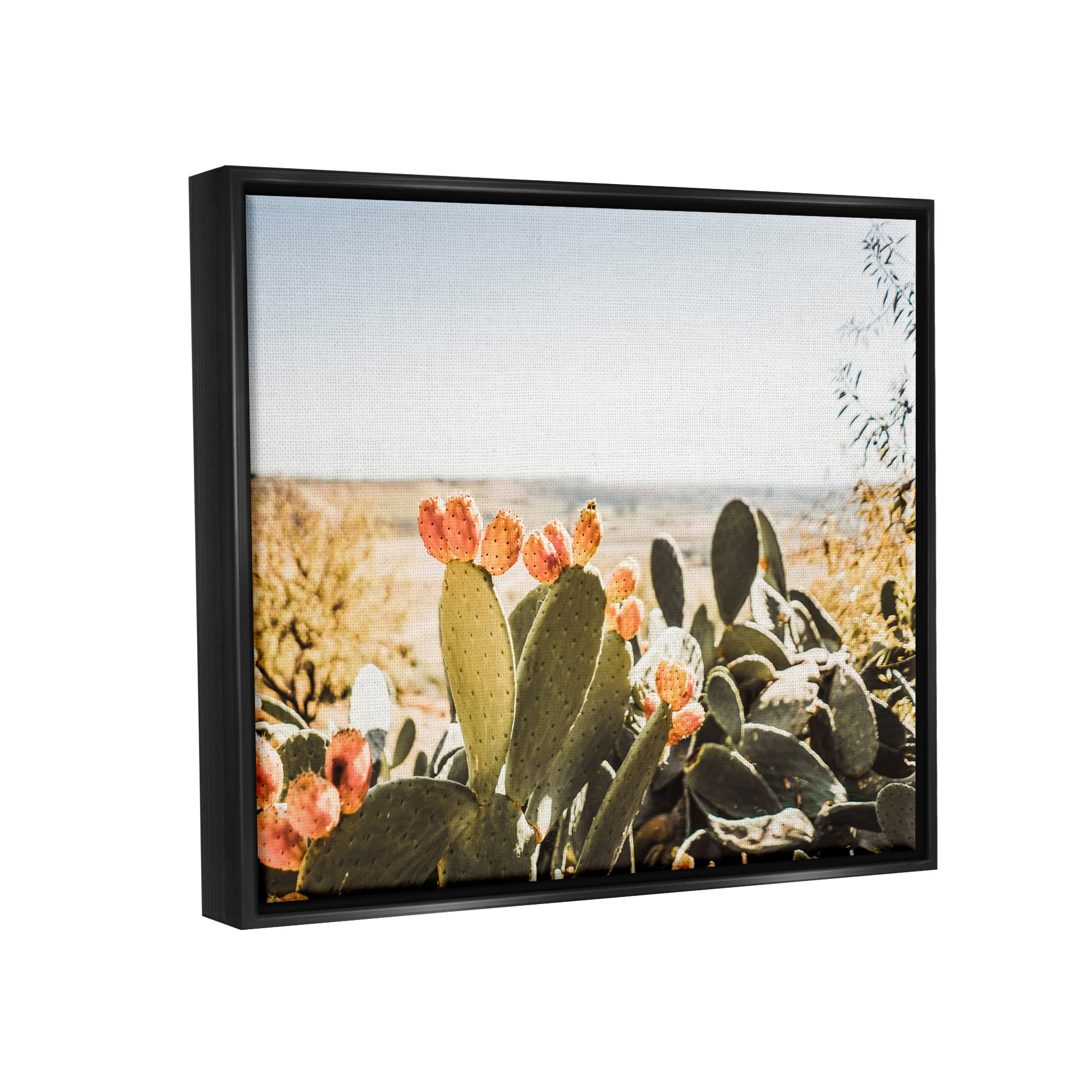 Stupell Sunlit Prickly Pear Cactus Photography Landscape Photography Black Floater Framed Art Print Wall Art