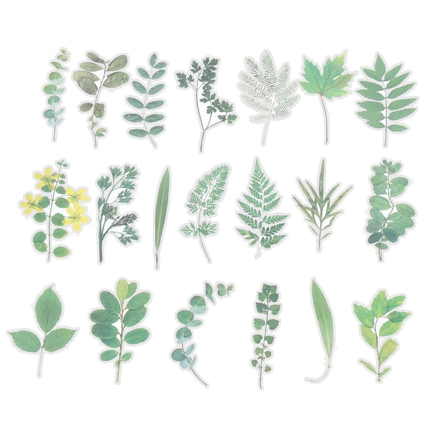 50 Calcomanías Transparentes Impermeables Para Plantas Verdes Para