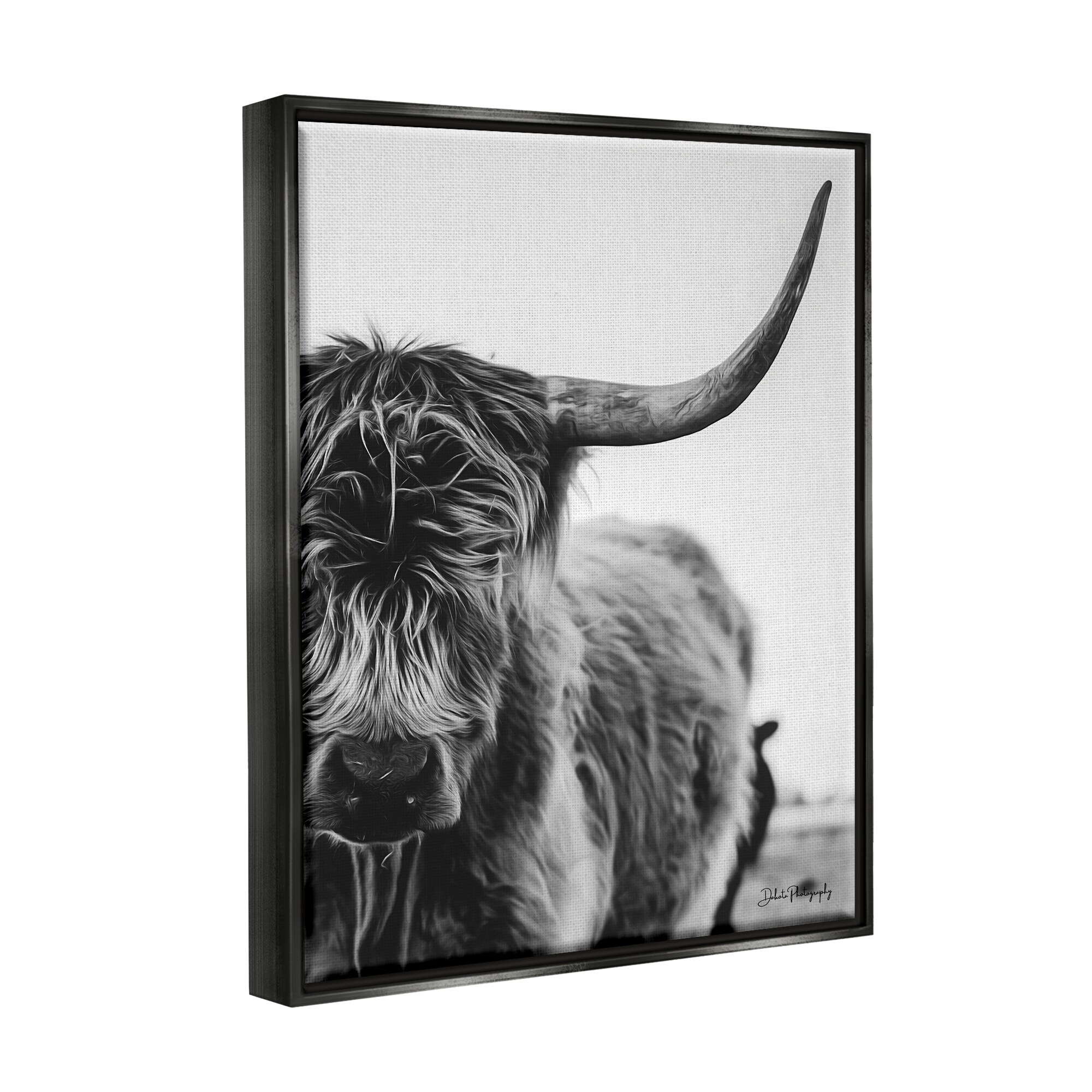 Stupell Industries Highland Cow Cattle Horn Close Up Serene Photography Photograph Jet Black Floating Framed Canvas Print Wall Art, Design by Dakota Diener