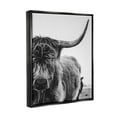 thumbnail image 2 of Stupell Industries Highland Cow Cattle Horn Close Up Serene Photography Photograph Jet Black Floating Framed Canvas Print Wall Art, Design by Dakota Diener, 2 of 5
