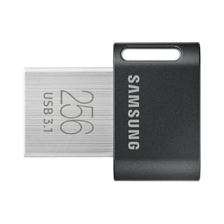 GetUSCart- 256GB Blink USB Flash Drive for Local Video Storage