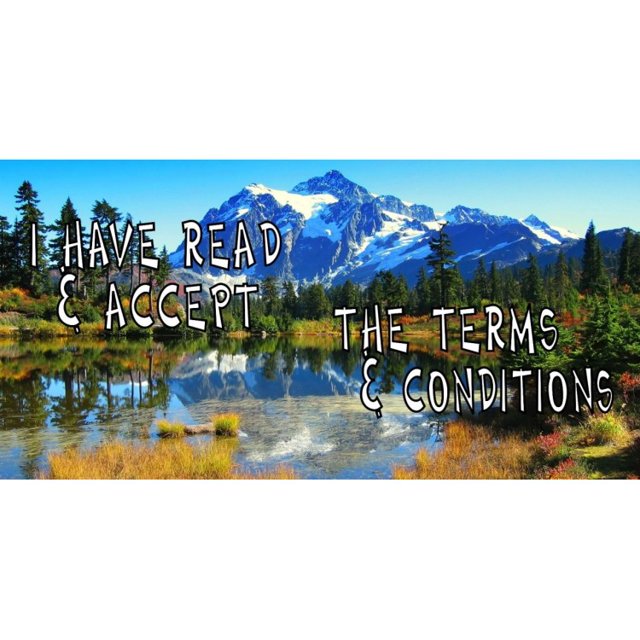 J'ai Lu et J'accepte les Termes et Conditions Plaque d'Immatriculation Photo