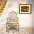 thumbnail image 3 of Shimlock, Jones 24x17 Gold Ornate Wood Framed with Double Matting Museum Art Print Titled - Indonesia, Komodo NP Sea cucumber feeding, 3 of 4