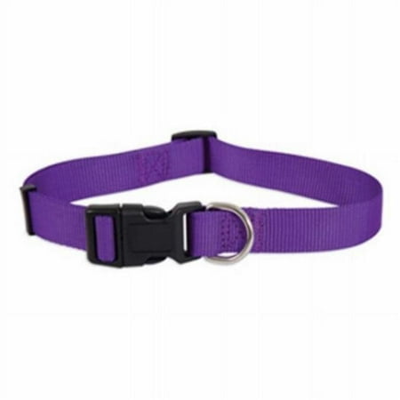 UPC: 0029695109805 | Petmate 274170 1 x 16-26 in. Dog Collar Purple