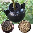 thumbnail image 5 of SDFGTstore Plant High Pressure Box Propagation Ball Multifunction Plant Growing, 5 of 20