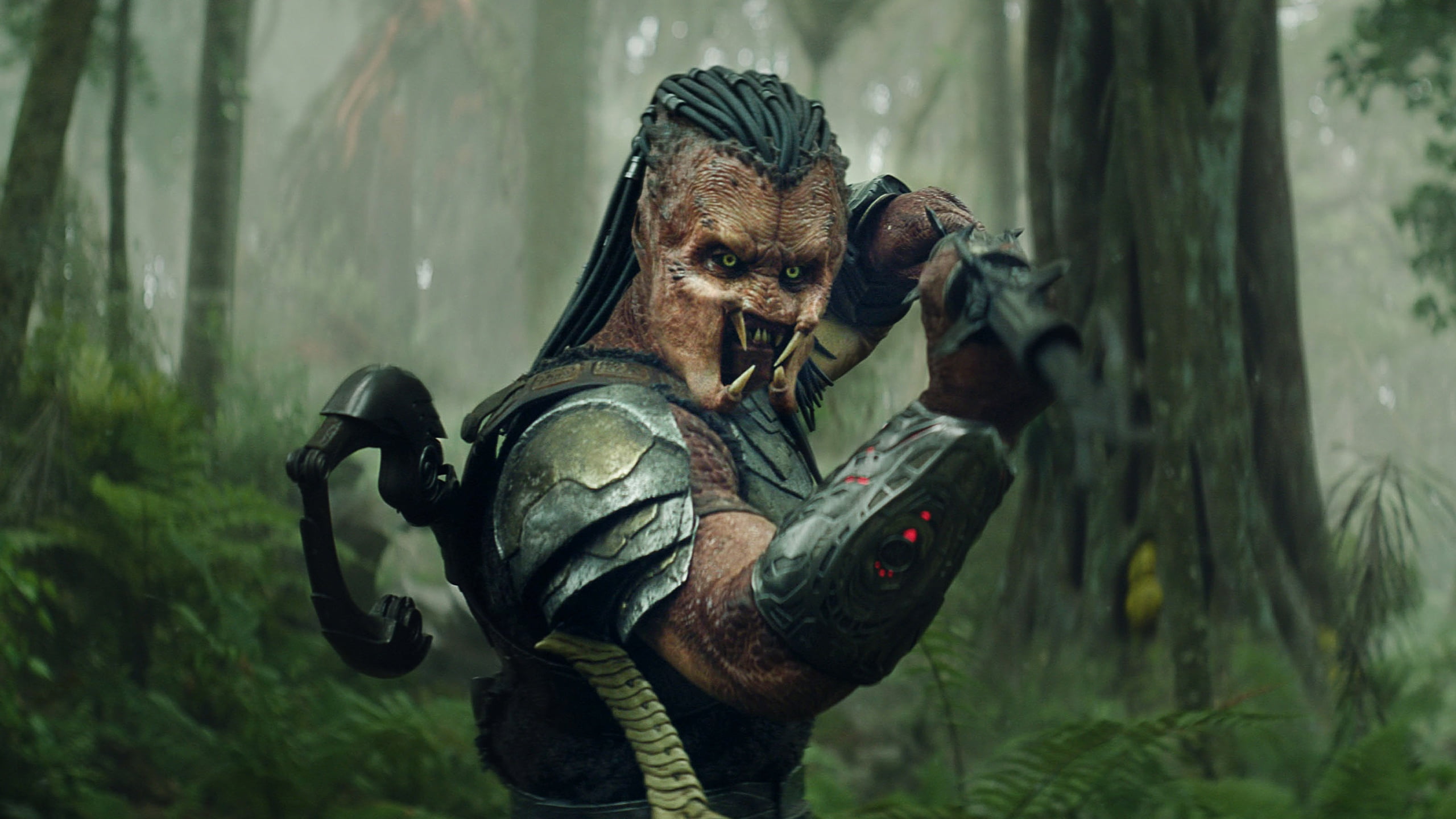 Predator: Badlands (Blu-ray + Digital Copy) 20th Century Studios, Action & Adventure, Drama