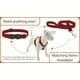 thumbnail image 3 of Collar para Perro LupinePet Impermeable Verde Neón de 2.5 cm de Ancho, 3 of 6