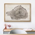 thumbnail image 3 of HFDF Canvas Prt Wall Art Close Up Detail Wood Tree Rg Log Nature Wilderness Digital Art Realism Decorative Rustic Relax/Calm for Livg Room, Bedroom, Office - Natural 16x12inch Framed, 3 of 5