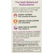 Geritol Multi-Vitamin Nutritional Support Tablets, Balance of 26 essential vitamins and minerals, 100-Count Bottles (Pack of 2)