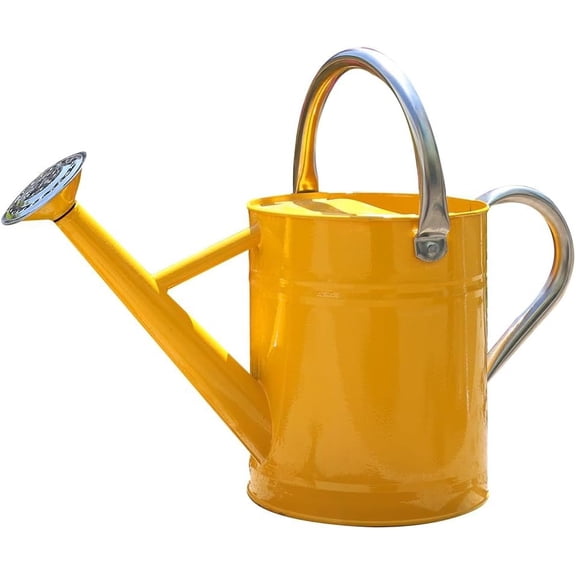 Metal Watering Can, One Gallon Watering Cans Stainless Steel for Outdoor Indoor Garden Watering (Yellow)