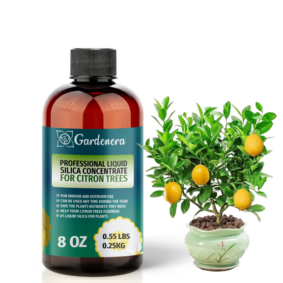 𝐏𝐑𝐄𝐌𝐈𝐔𝐌 Liquid Silica Plant Supplement - 8oz (250mL) - CITRON TREE Liquid Silica Boost Fertilizer - Stronger Stems & Healthy Leaves for Indoor & Outdoor Citron Trees Plants (Makes 45 Gallons)