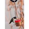 thumbnail image 5 of Small Copper Bee & Wasp Proof Hummingbird Nectar Feeder - Use in Window or Hanger, 5 of 5
