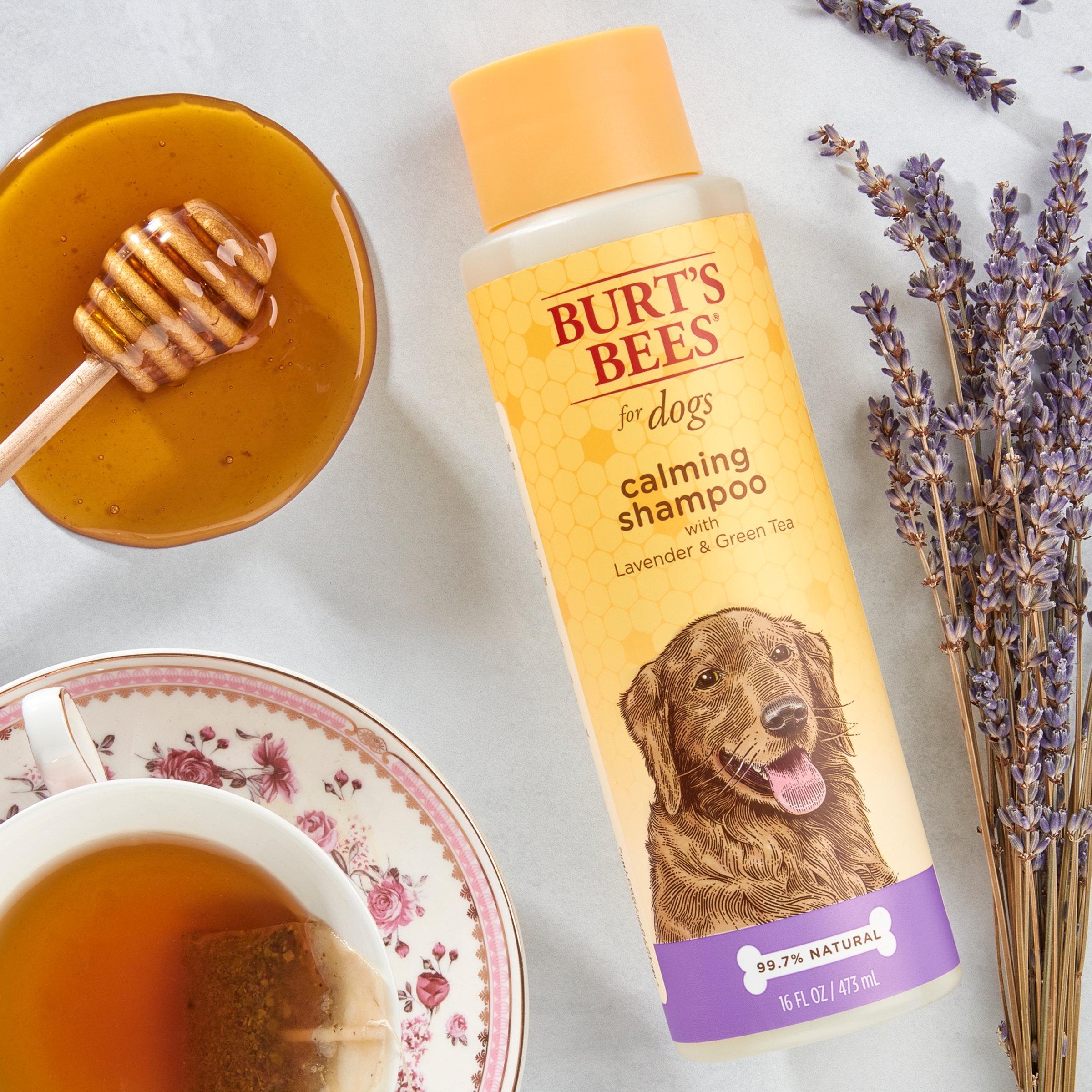 Burt's Bees Natural Calming Dog Shampoo, Lavender & Green Tea photo 7