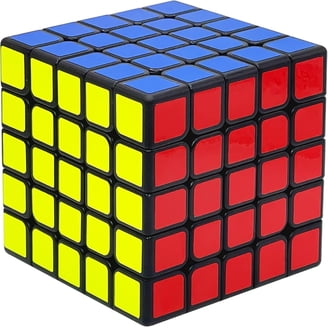 DianSheng 10x10 Black Magnetic Speed Cube, Stickerless, 78.8mm