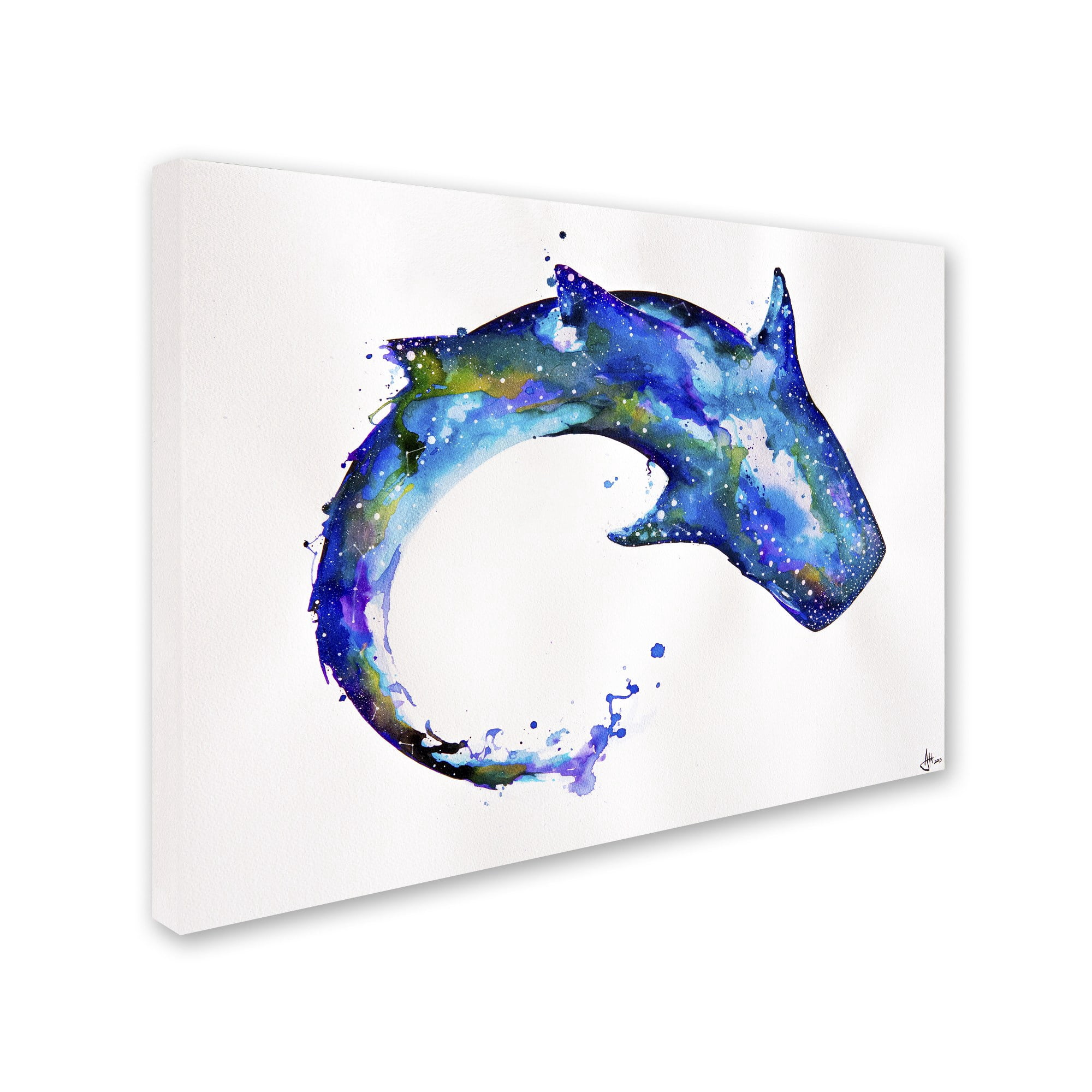 Trademark Fine Art 'Celestial' Canvas Art by Marc Allante