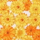 thumbnail image 4 of Funda para silla redonda BLESIY Cojines de asiento de tela, 4 of 4