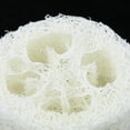 thumbnail image 4 of Bandeja Ahorradores Del Almacenamiento Sostenedores De La Esponja Lavaplatos Del Drenaje De Loofah Del 4pcs Colcomx Soporte de caja de jabón Loofah, 4 of 6