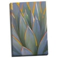 thumbnail image 2 of Gango Home Decor Contemporary California Agave I by Kathy Mahan (Ready to Hang); One 24x36in Hand-Stretched Canvas, 2 of 4