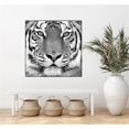 thumbnail image 2 of Giant Art Canvas  30x30 Tiger Framed in White, 2 of 3