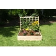 thumbnail image 3 of EDEN Raised Garden Bed with Trellis (4FT x 4FT x 11IN) With 44 In Trellis, 3 of 6