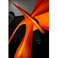 thumbnail image 2 of Huang, Ivan 24x32 White Modern Wood Framed Museum Art Print Titled - Chicago Flamingo, 2 of 4
