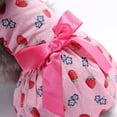 thumbnail image 7 of Walbest Puppy Dog Dress, Thin Cute Floral Strawberry Print Princess Ribbon Skirt for Small Dogs Cats for Summer, 7 of 7