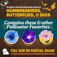 thumbnail image 3 of Pennington Wildflower Meadow Lawn Butterfly and Hummingbird Perennial Full Sun Seed Mix, 32 oz. Bag, 3 of 13