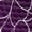Skull Skeleton Cobweb, variant on Uourmeti Boys Football Flame Shoes Kids School Sneakers Lace up Comfort Tennis Running Shoes Lightweight Mesh Slip on Sports Athletic Fitness Shoe Size 2.5