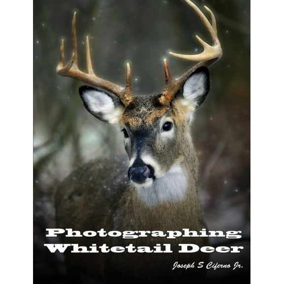 Photographing Whitetail Deer, (Paperback)