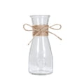 thumbnail image 1 of Glass Vases Transparent Water Hydroponics Flower Rope Dry Flower Vase Living Room Table Decoration;Glass Vases Transparent Water Hydroponics Flower Rope Dry Flower Vase, 1 of 9