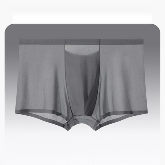 Rohuuque Men's Ice Silk Boxer Briefs Ultra-Thin Boxer Briefs Panties Invisibles Men Boxer Shorts Underwear Breathable Underpants Dark Gray