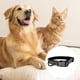 thumbnail image 3 of Dinheiro Collar para perro con clip y letras cortadas con forro de lona, 3 of 5