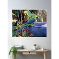 thumbnail image 2 of Parrot ~ Green Rosella Kkks3Gj4 By David Irwin Poster Wall Art, Modern Wall Decor For Living Room Bedroom, 24x36 UNFRAMED, 2 of 3