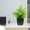 Green2, variant on Hodwiequ Fake Plants In Black Pot Mini Artificial Eucalyptus Potted Plant Small Faux Grass Greenery Potted For Indoor Home Office Farmhouse Bathroom Table Decoration Green1 A