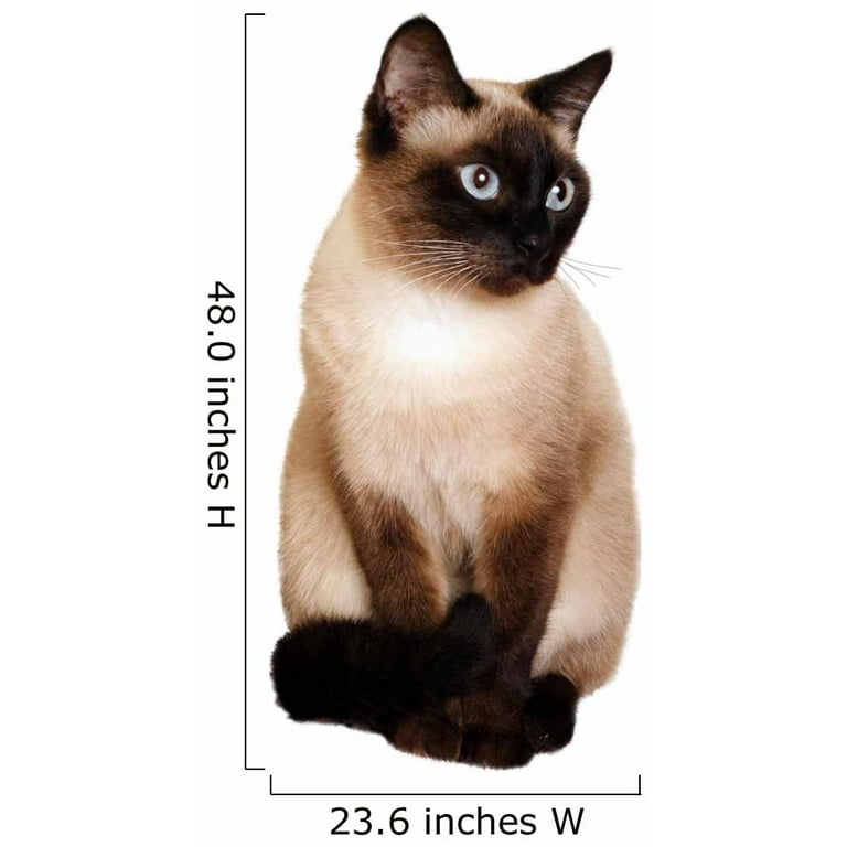 Wallmonkeys Siamese Cat with Bright Blue Eyes Peel and Stick Wall