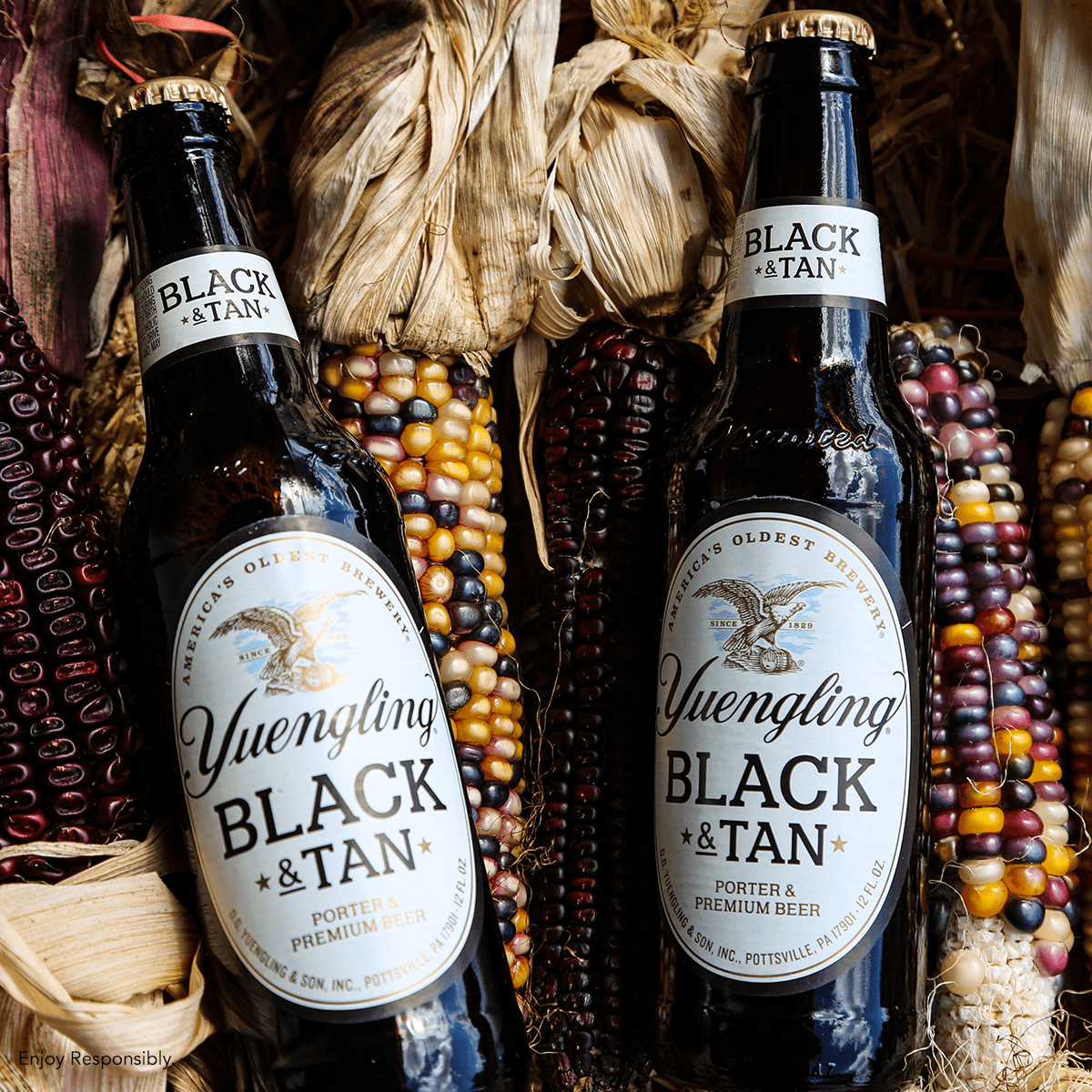 Yuengling Black & Tan Beer, 12 Pack Beer, 12 fl oz Glass Bottles, 4.6% ABV, Domestic