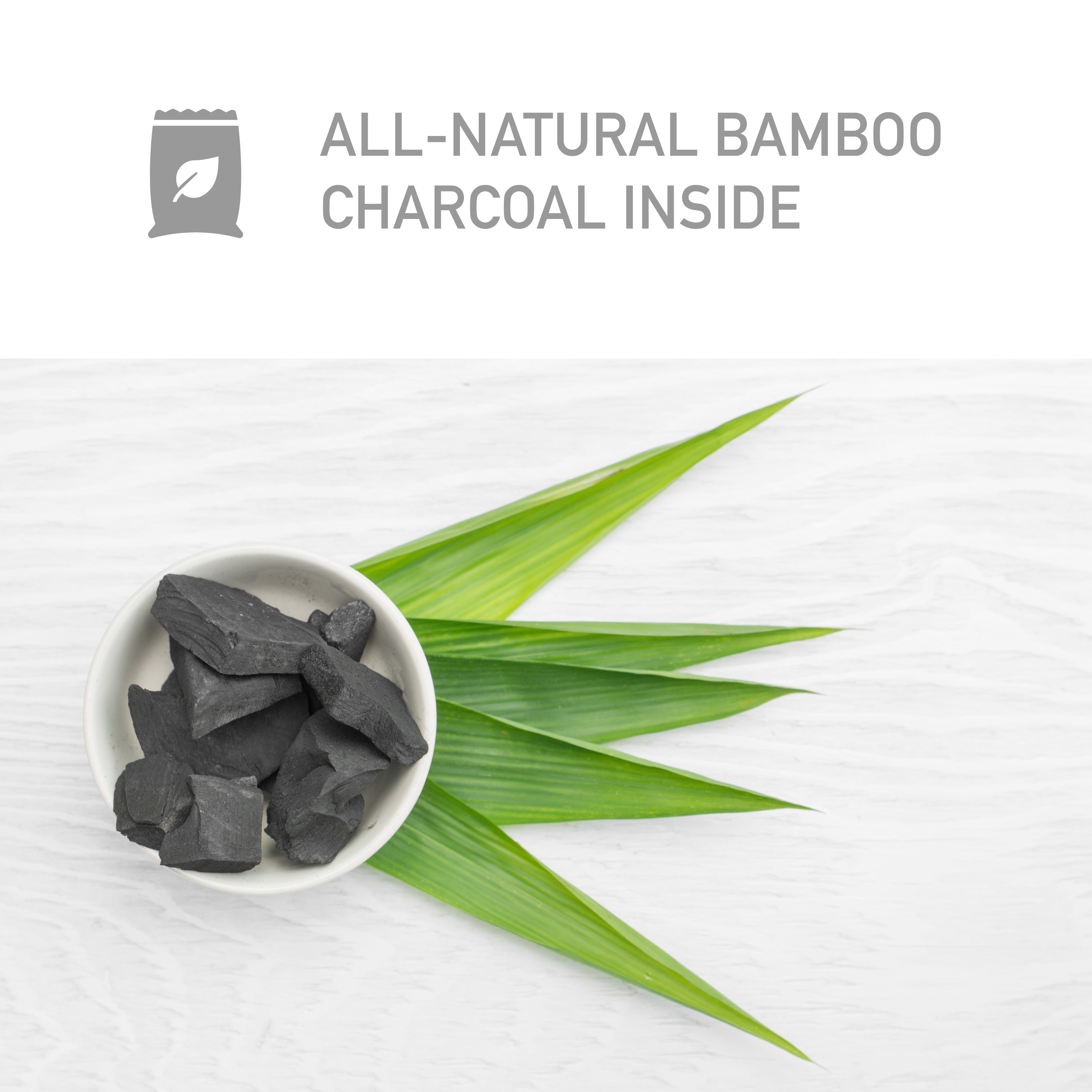 PureGuardian 100g Bamboo Charcoal Air Purifying Bag with Odor Control, 8-Pack, CB1008PK, Unscented