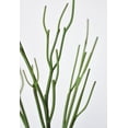 thumbnail image 4 of 23" Faux Green Pencil Cactus Succulent Stem, 4 of 6